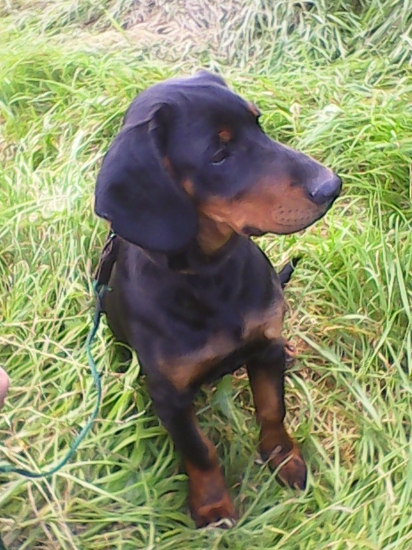 Ares Už mám skoro pol roka