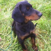 Ares Už mám skoro pol roka