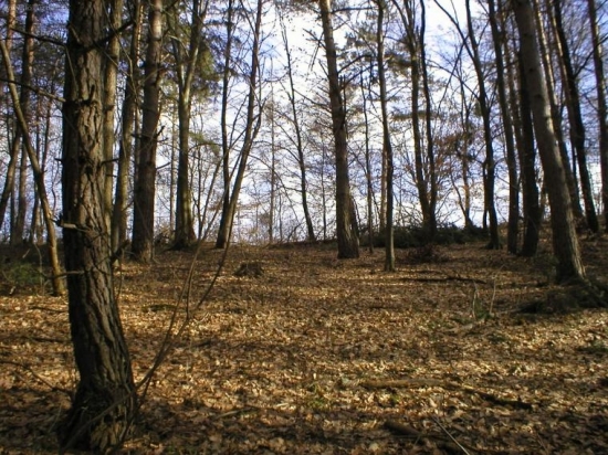 Čaro prírody