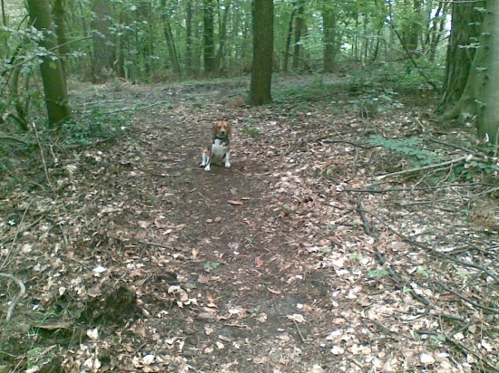 Cvyk odlozenie jej ide dobre