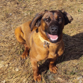 CEZAR