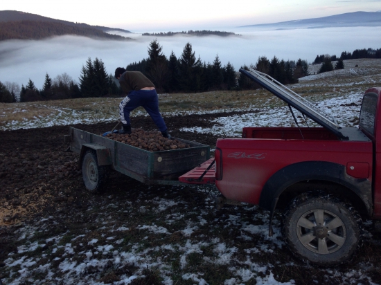 Trochu zemiakov pre chuť