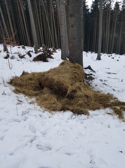 Aj zabudnutý balík pomôže