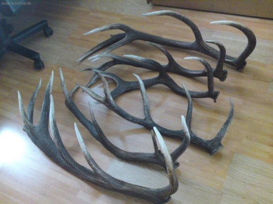 taka moja mensia tohtorocna zbierka