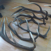 taka moja mensia tohtorocna zbierka