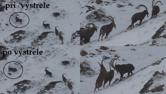 Takto sa to odohralo