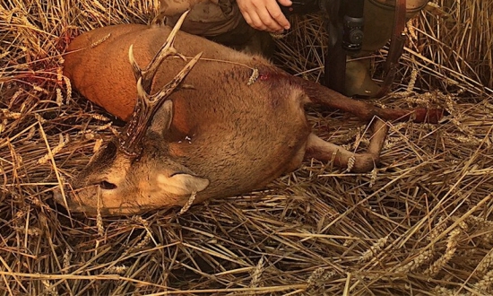 Medaila môjho kamaráta