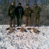 Norovanie