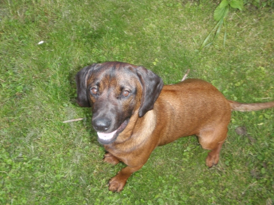 Flypp - Jedlovské lúky