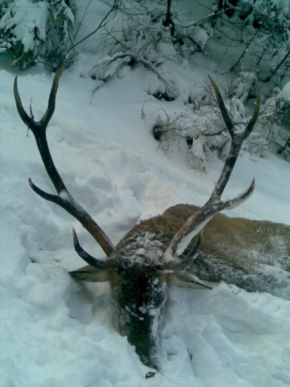 2007 - 8 rokov, 166 bodov