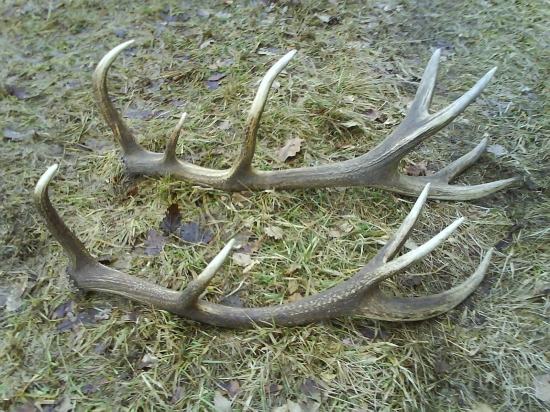 spomienka na rok 2009