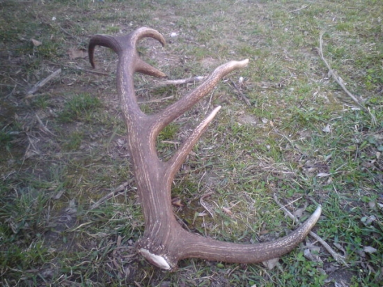 s priatelkou na opekacke