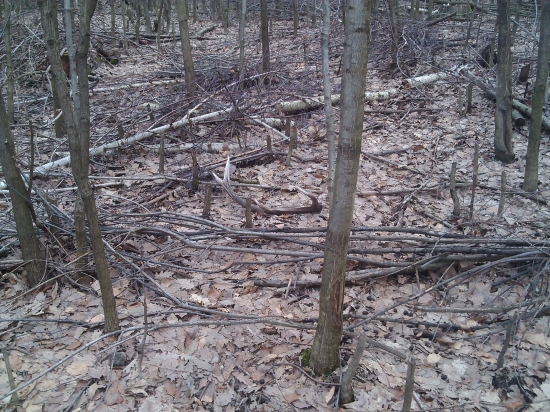 kamaratovy sa zadarilo.