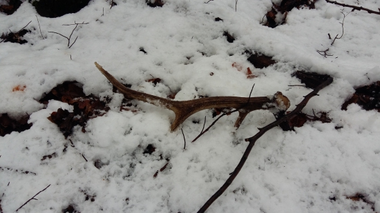 vlanajsi.ale potesil.