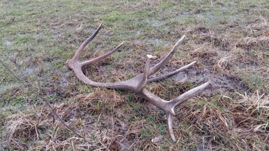 skoda ze neni aj druhy