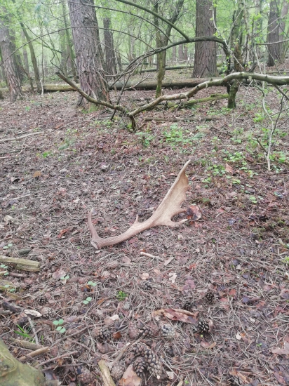 Na obľúbenom mieste