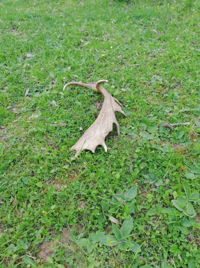 Poobedná vychádzka