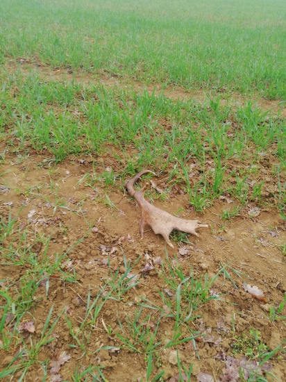 Zhodena v priamom prenose