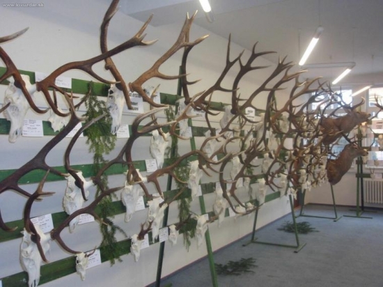 Chovateľská prehliadka 03