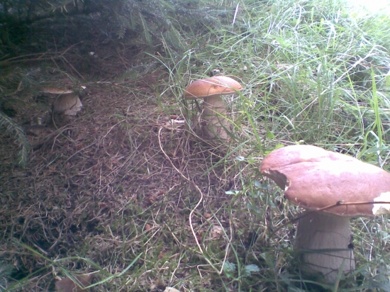 toto ma vždy poteší...