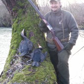 Tlmenie kormoránov..