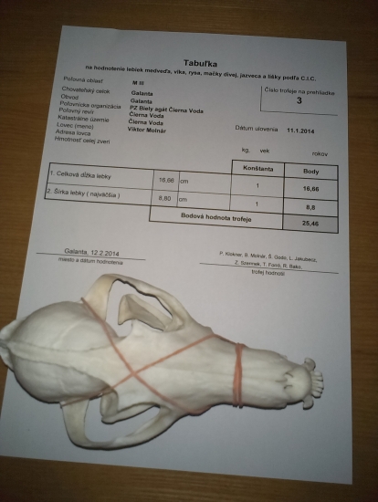 ZLATÁ LÍŠKA -  25.46