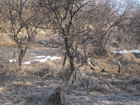 poznate krajši pocit?