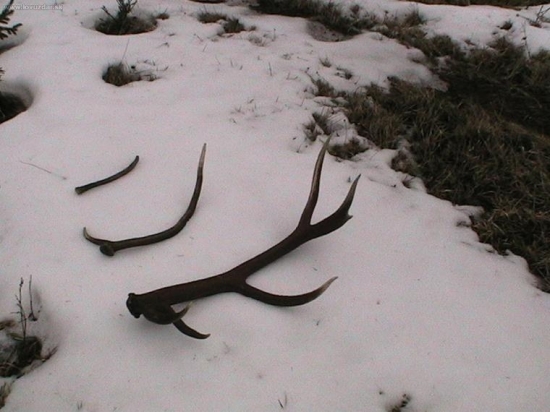 celkom vydarená nedeľa čo poviete.