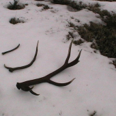 celkom vydarená nedeľa čo poviete.