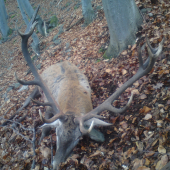 Trošku sa nám dnes zadarilo