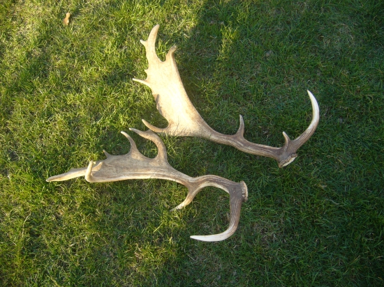 Neďeľná prechádzka.