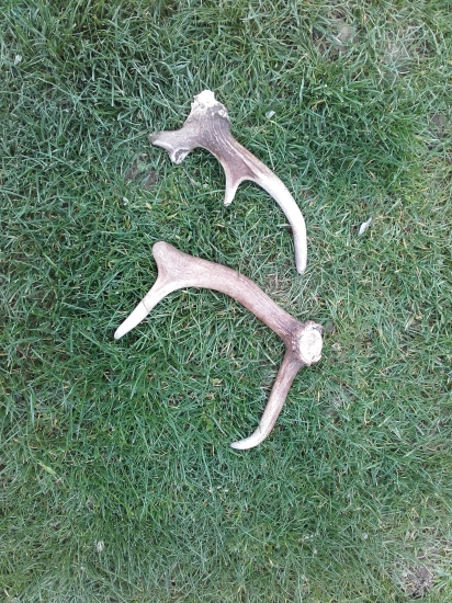 ....a tu je výsledok