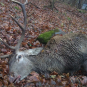 Dnešné úspešné ráno