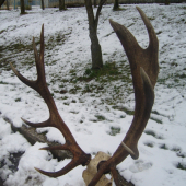 Otcov životný a zaslúžený.