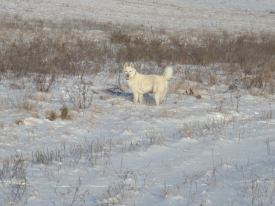 - 18°C- nevadí ... :)