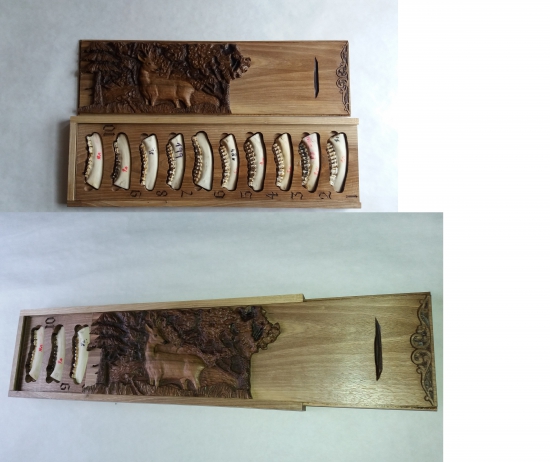 Vzorkovnica na určenie veku srnčej zveri