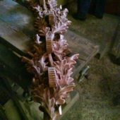 diviak