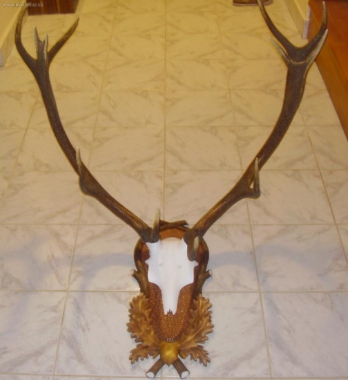 Otcova praca- podlozka aj lebka