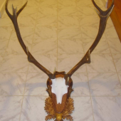 Otcova praca- podlozka aj lebka