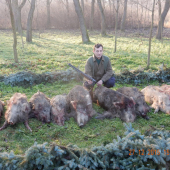 Albin hunting