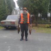 polovacka na bazanty