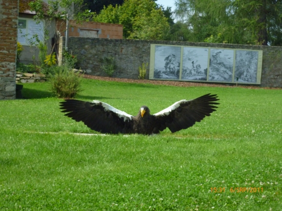 Celý bazénik je môj !