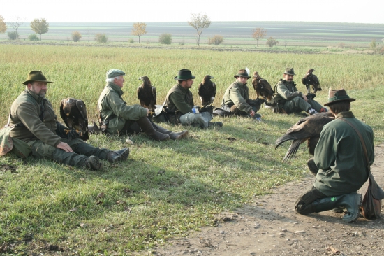 Orliari - pauza pri love