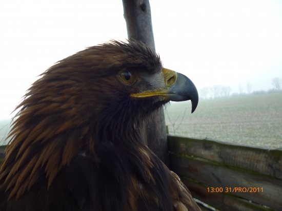 Z posedu je lepší rozhľad ...