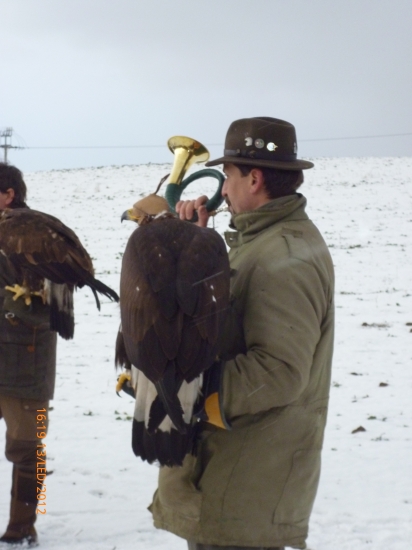 V zmysle tradícií ...