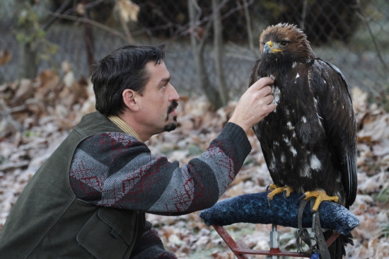 Zvýtanie po mrazivej noci