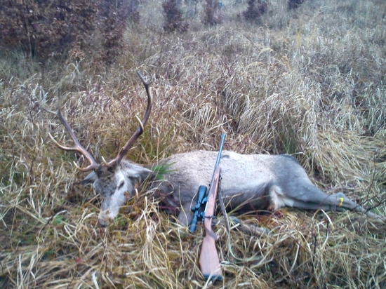 Aj v posledný deň bola Diana štedrá