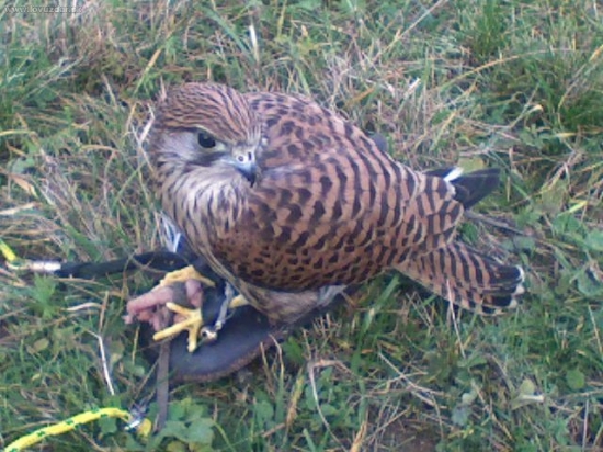 Jej najobľúbenejšia činnosť :o)