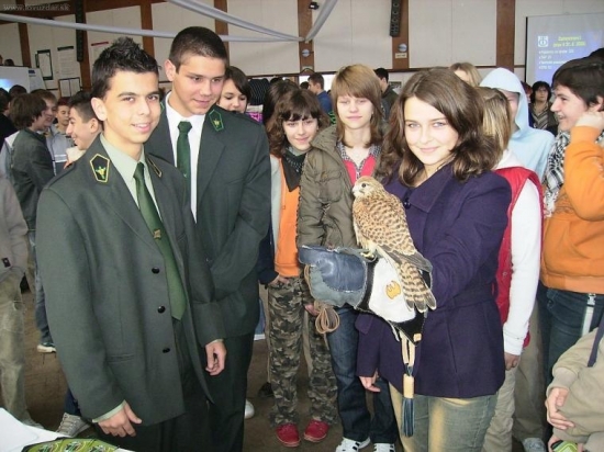 Jeden z dôvodov prečo sa stať sokoliarom? :o)