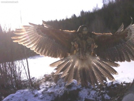 Štúdia kompletného podvozku